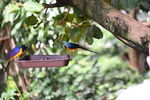 DSC_9193.JPG
